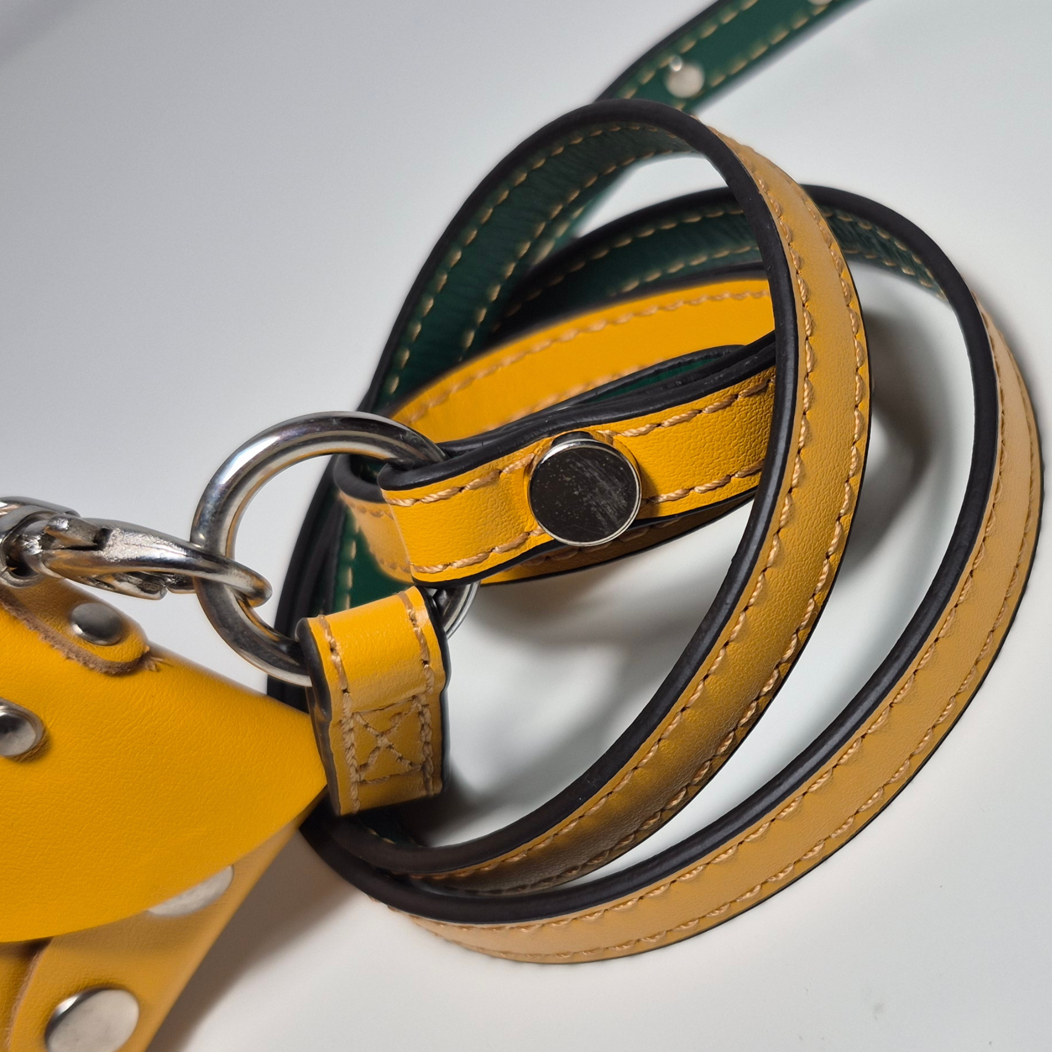 Guinzaglio e Porta Sacchetti in Vera Pelle per Cani
